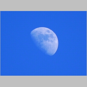 2011-0709-117.JPG
