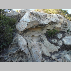 2011-0709-124.JPG