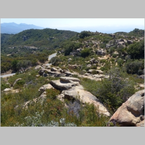 20130606-093.JPG