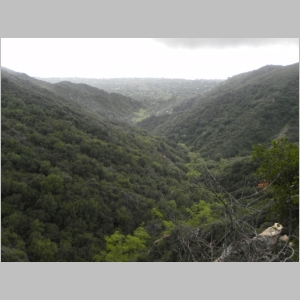 2012-0412-046.JPG