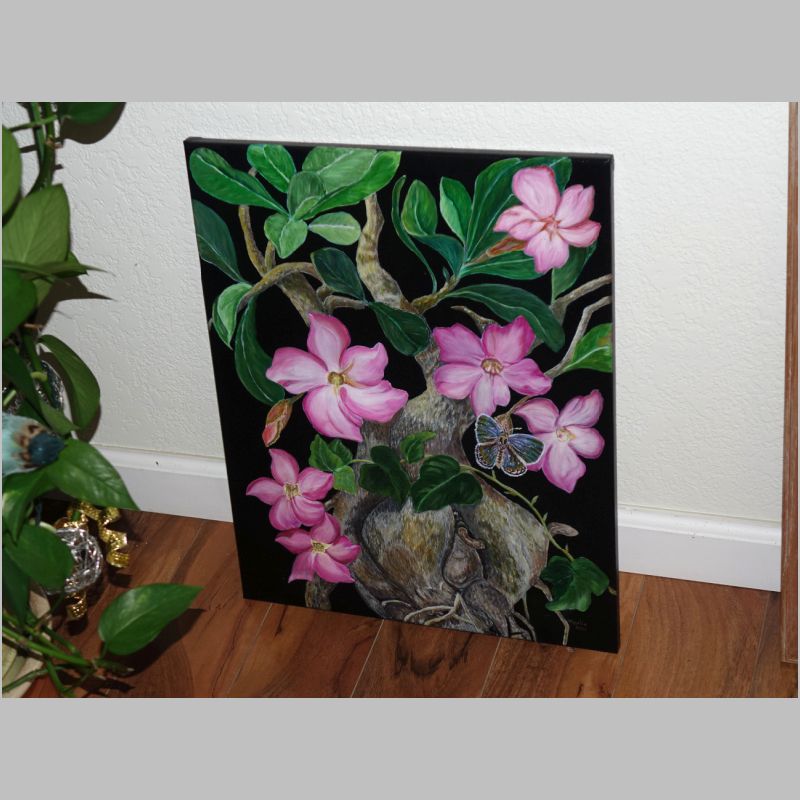 20231214-004.JPG