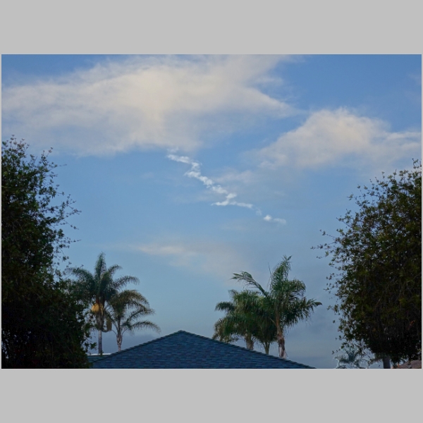 20190111-010.JPG